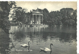 Roma (Lazio) Villa Borghese, Laghetto Con Cigni, The Little Lake, Le Petit Lac, Der See - Parques & Jardines