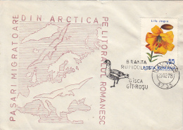 39738- RED BREASTED GOOSE, ARCTIC MIGRATING BIRDS, SPECIAL COVER, 1978, ROMANIA - Geese