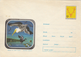 39745- PELICANS, BIRDS, COVER STATIONERY, 1971, ROMANIA - Pélicans
