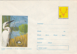 39746- GREAT EGRET, BIRDS, COVER STATIONERY, 1972, ROMANIA - Pelícanos