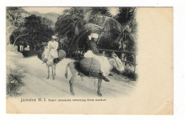 WEST  INDIES  /  JAMAICA  ( île De La JAMAÏQUE ) /  NEGRO  PEASANTS  RETURNING  FROM  MARKET ( ânes ) /  CPA PRECURSEUR - Jamaica