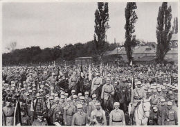 39887- HITLER, SOLDIERS PARADE, PICTURE CARD, HISTORY, ALBUM NR 8, IMAGE NR 21, GROUP 33 - Storia