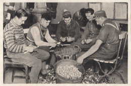 39921- HITLER, SOLDIERS COOKING, PICTURE CARD, HISTORY, ALBUM NR 8, IMAGE NR 59 - Histoire