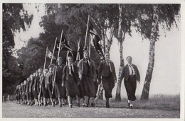 39945- HITLER, WOMEN MARCHING, PICTURE CARD, HISTORY, ALBUM NR 8, IMAGE NR 64, GROUP 32 - Histoire