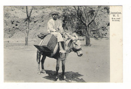 WEST  INDIES  /  JAMAICA  ( île De La JAMAÏQUE ) /  BOY  AND  DONKEY  ( âne )  /  CPA PRECURSEUR - Jamaïque