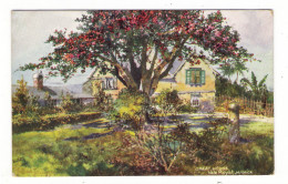JAMAICA  ( île De La JAMAÏQUE ) /  "GREAT  HOUSE" , VALE  ROYAL / TRELAWNEY / OILETTE  By  Raphaël TUCK & Sons  N° 7295 - Giamaica