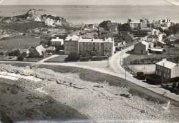 CPSM - PRIMEL-TREGASTEL (29) - Vue Aérienne Du Bourg Dans Les Années 50 - Primel