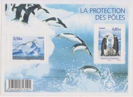 France 2009 Protection Of Polar Regions International Polar Year Penguin Glacier - Schützen Wir Die Polarregionen Und Gletscher