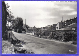 Carte Postale 83. La Roquebrussanne Villas Quartier Des Aires   Très Beau Plan - La Roquebrussanne