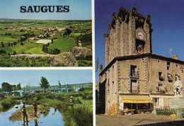 43  SAUGUES Alt 960m - Saugues