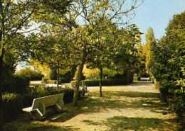 43 MONISTROL SUR LOIRE Jardin D'enfants Pres Du Chateau - Monistrol Sur Loire