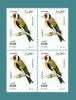 Algeria Algerie Algerien Bloc De 4 Block Of 4 Chardonneret élégant Chardonnerets Oiseau Oiseaux Birds Vögel 2000 MNH ** - Autres & Non Classés