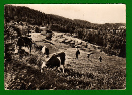 Delcampe - CP 06 LUCERAM 89 Peira Cava En 1956 - Lucéram