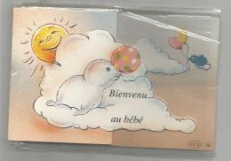 Bienvenu Au Bébé. Mignonnette 7 X 10 Cm.bébé Phoque, Soleil, Ballons, Nuages, Oiseau - Nascite