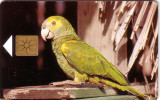 BONAIRE PERROQUET PARROT 20U UT - Parrots