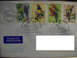 Poland Heritage Railway (railroad) From Miedzychod To Poznan, Pictorial Postmarks Of Steam Engine 2013 Parrots - Covers & Documents