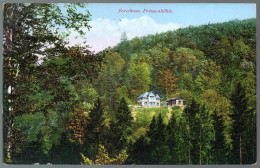 2107 - Ohne Porto - Alte Ansichtskarte - Forsthaus Prinzenhöhle Gaststätte Stempel  Poppenwald Gel 1936 - Aue