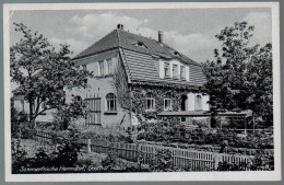 1705 - Ohne Porto - Alte Ansichtskarte - Gasthof Gaststätte Hasse Herrndorf N. Gel. - Freiberg (Sachsen)