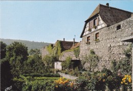 Carte Postale, Anciens Remparts De La Ville, Dambach La Ville - Dambach-la-ville