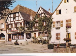Carte Postale, La Fontaine De L'ours Et Restaurant "a La Vignette", Dambach La Ville - Dambach-la-ville