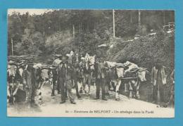 CPA 50 - Un Attelage Dans La Forêt Transport Du Bois - Boeufs - Environs De BELFORT 90 - Autres & Non Classés