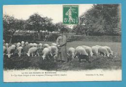 CPA 8 - LA VIE AU CHAMP EN BOURGOGNE - Vieux Berger Et Son Troupeau Pâturage à EVRY 10 - Ervy-le-Chatel