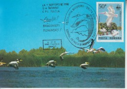 ROMANIA 1991: W W F - PELICANS Maximum Card  - Registered Shipping! Envoi Enregistre! - Pélicans