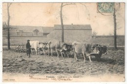 78 - TRAPPES - La Culture - Le Labour - Edition Durand - 1904 - Attelage De Boeufs - Trappes