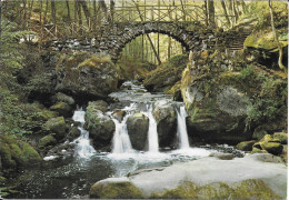 Petite Suisse Luxembourgeoise - La Pittoresque Cascade Du Schiessentümpel Au Müllerthal - Muellerthal