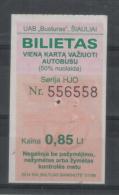 Lithuania Siauliai Bus Ticket One-way Ticket 2014 - Europe