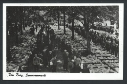 CPA - Pays Bas - Photo Carte - Foto Kaart - DEN BURG - Lammerenmarkt - Markt - Market  // - Texel