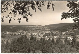 Carte Postale Ancienne De GRANGES SUR VOLOGNE-vue Générale - Granges Sur Vologne