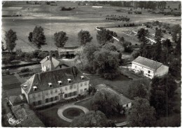 Carte Postale Ancienne De LAMARCHE-vue Aérienne-Le Château De La Trinité - Lamarche