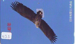 EAGLE - AIGLE - Adler - Arend - Águila - Bird - Oiseau (433) - Arenden & Roofvogels