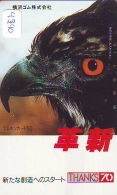 EAGLE - AIGLE - Adler - Arend - Águila - Bird - Oiseau (440) - Aigles & Rapaces Diurnes