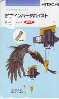 EAGLE - AIGLE - Adler - Arend - Águila - Bird - Oiseau (442) - Águilas & Aves De Presa