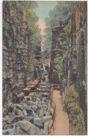 The Flume Gorge, Franconia Notch, White Mountains, NH, Unused Linen Postcard [17068] - White Mountains