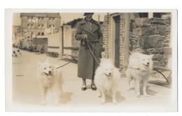 JERSEY Carte Photo Femme Promenant Ses Chiens Gros Plan - Autres & Non Classés