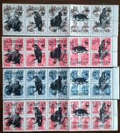 RUSSIE - Ex URSS 20 Valeurs OISEAUX, BIRDS, PERROQUETS ** Emis En 1996. Serie Neuve Sans Charniere. (MNH) - Papegaaien, Parkieten