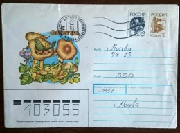 RUSSIE-URSS Papillons, Butterflies, Mariposas, SCHMETTERLINGE. CHAMPIGNONS Entier Postal Emis En 1991 (5) - Schmetterlinge