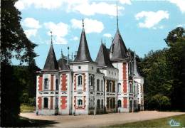 CHATEAU LA VALLIERE LA PERREE - Otros & Sin Clasificación