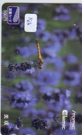 Dragonfly Libellule Libelle Libélula - Insect (186) - Altri & Non Classificati