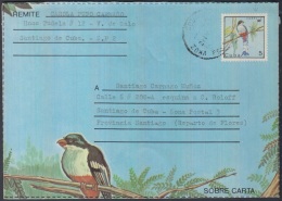 1987-EP-165. CUBA POSTAL STARIONERY 1987. SOBRE CARTA TOCORORO BIRD AVES. - Storia Postale