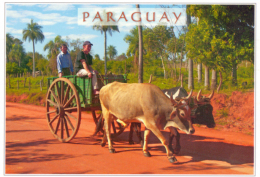 POSTAL PARAGUAY CARRETA CON BUEYES - Paraguay