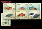 USADOS. CUBA. 1969-12 FAUNA. PECES TROPICALES - Gebraucht