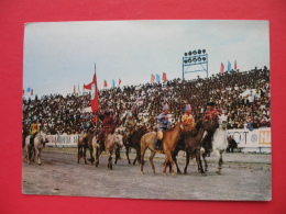 RIDERS ON HORSES - Mongolie