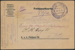 1918 Tábori Posta LevelezÅ‘lap / Field Postcard 'Kriegsgefangenenlager Wegscheid B. LINZ' - Sonstige & Ohne Zuordnung