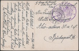 1917 Képeslap / Postcard ,,K.U.K. KRIEGSMARINE S.M.B. 98' + ,,MFP POLA D' - Budapest - Sonstige & Ohne Zuordnung