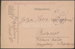 1917 Tábori Posta LevelezÅ‘lap / Field Postcard 'K. Und K. Bakteriologisches Feldlaboratorium Nr. 71.' + 'FP... - Sonstige & Ohne Zuordnung