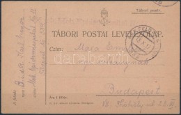 1917 Tábori Posta LevelezÅ‘lap / Field Postcard 'K.u.k. Mob Epidemiespital Nr.11.' + 'FP 339' - Other & Unclassified